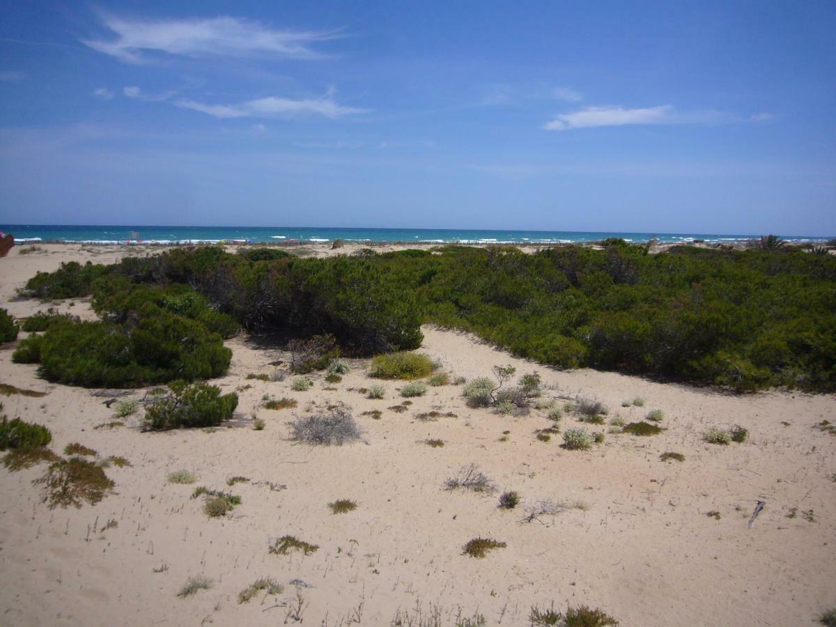 Descansa Y Disfruta De Las Mejores Playas Arenales del Sol Kültér fotó