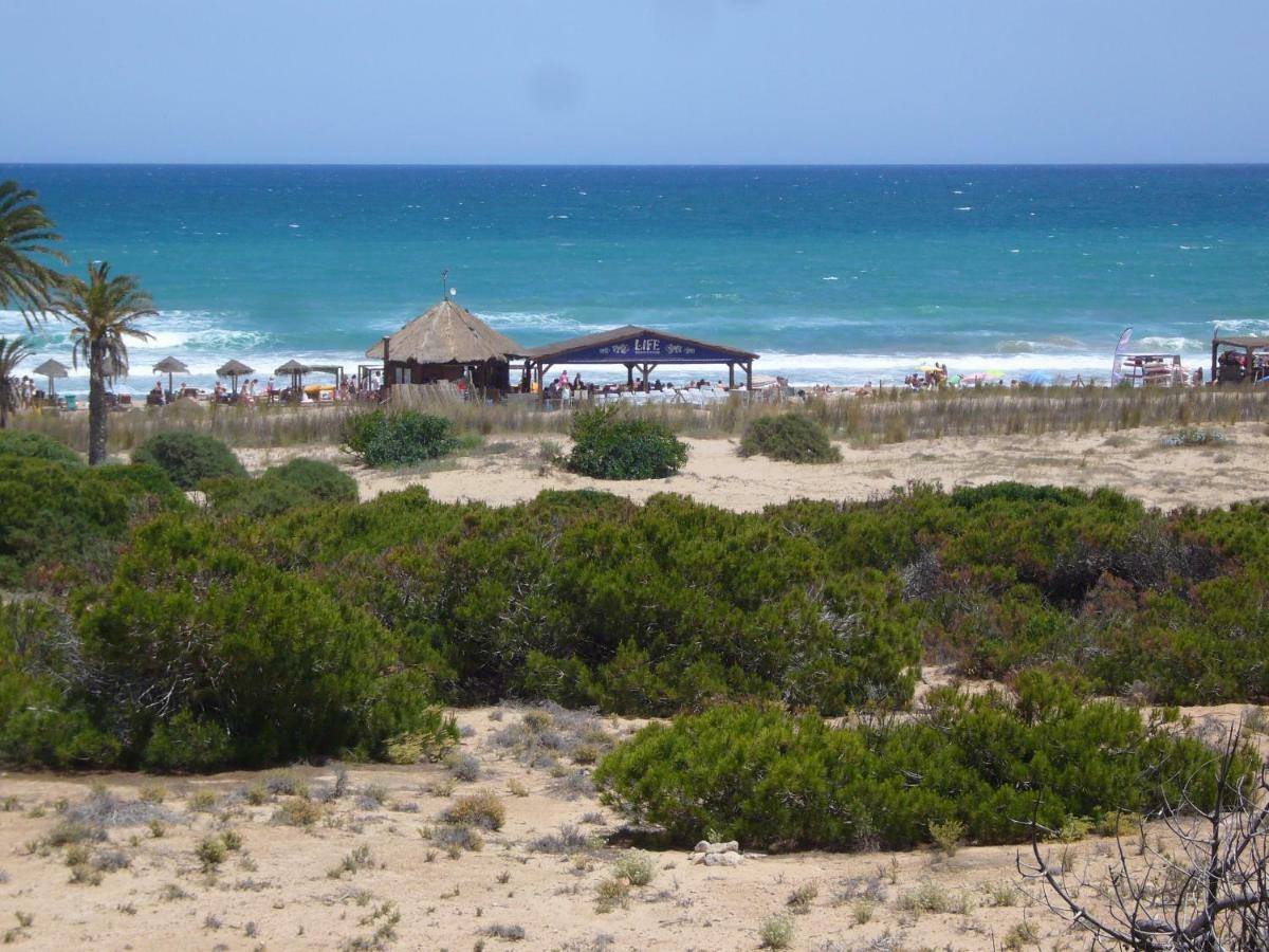 Descansa Y Disfruta De Las Mejores Playas Arenales del Sol Kültér fotó