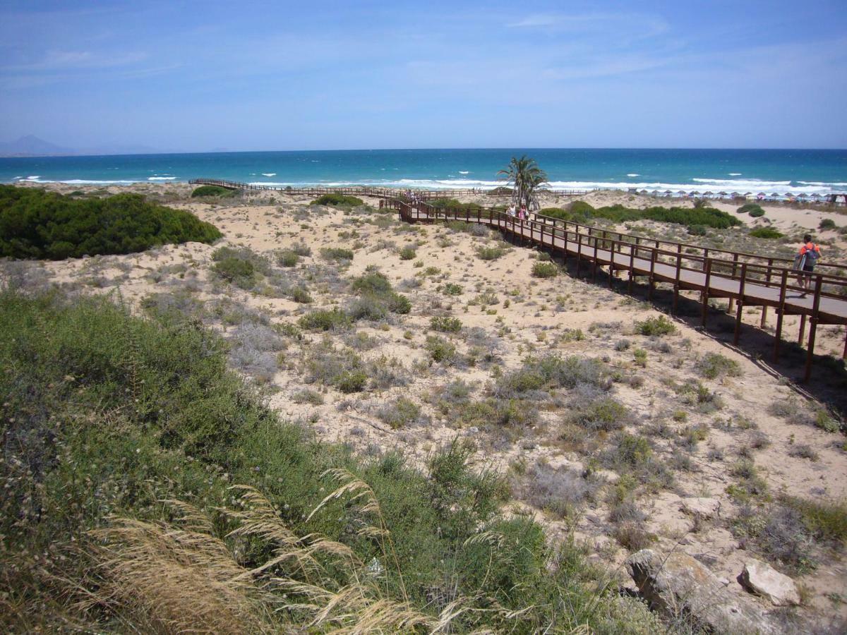 Descansa Y Disfruta De Las Mejores Playas Arenales del Sol Kültér fotó